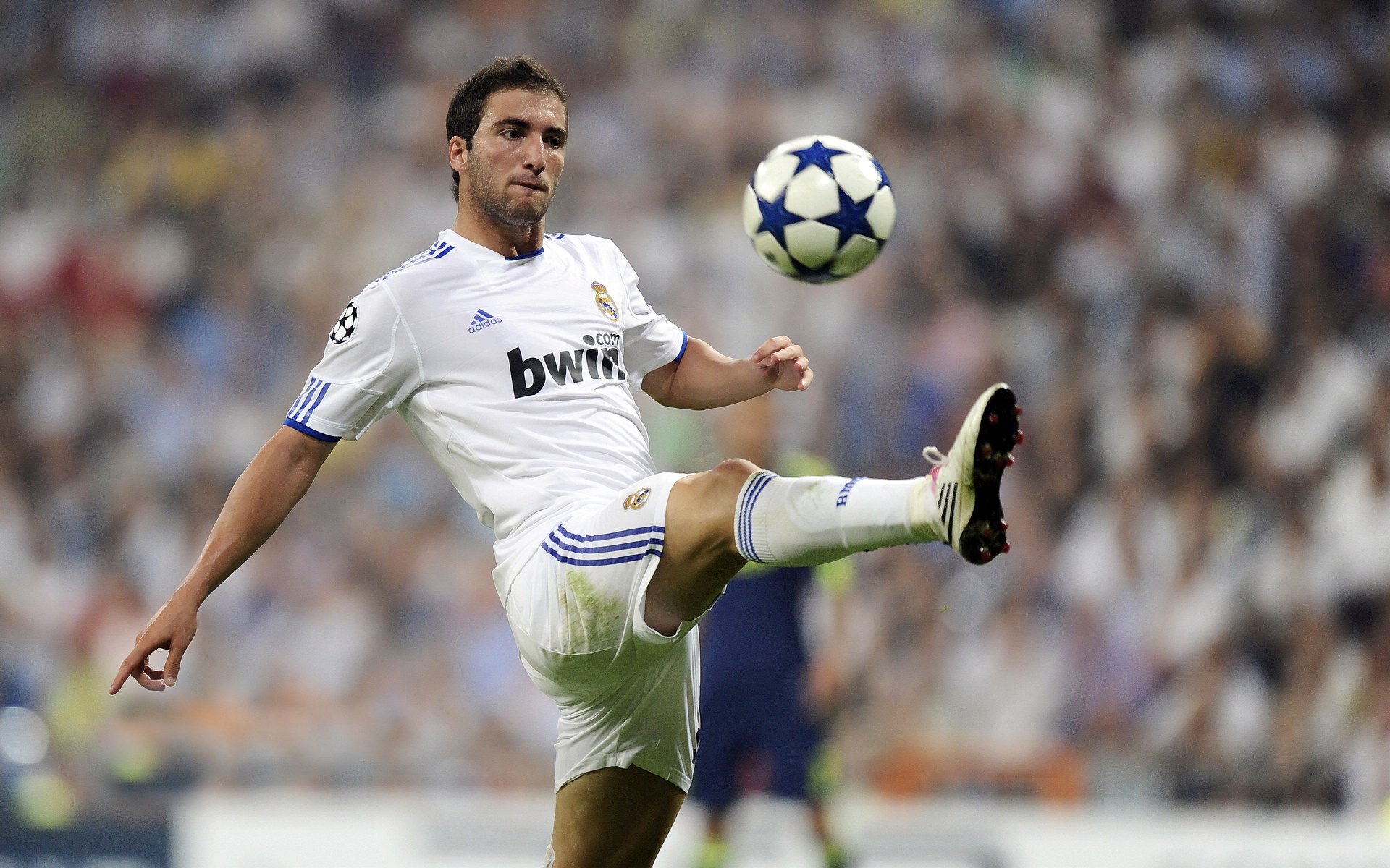 “青春同行”青少年青训合作项目在北京正式启动，推动区域合作战略