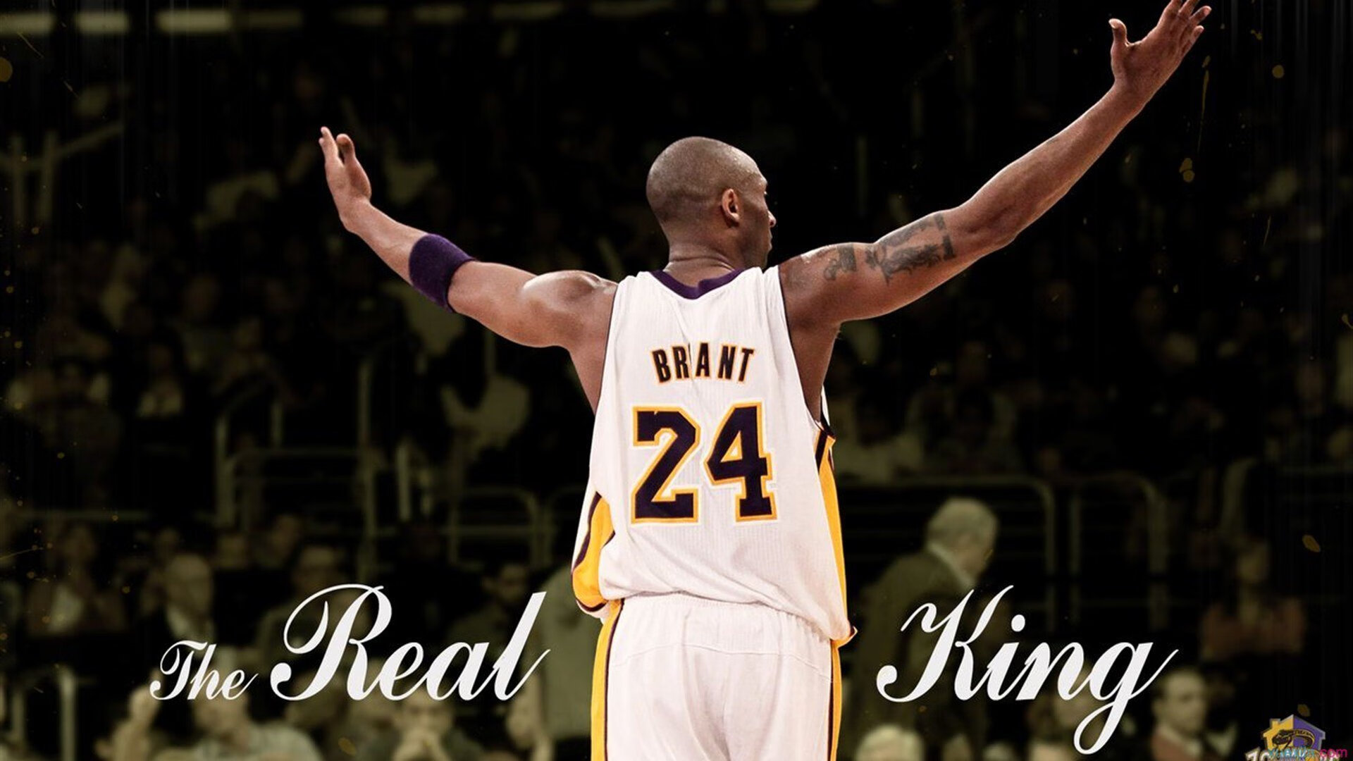 女足世界杯现场转播技术革新，女足世界杯直播平台